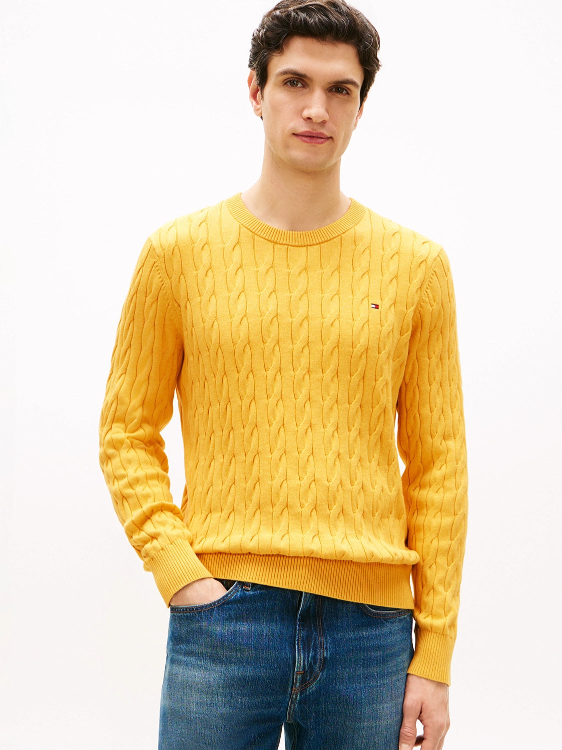 TOMMY HILFIGER CLASSIC COTTON CABLE CREW KNIT MW0MW33132