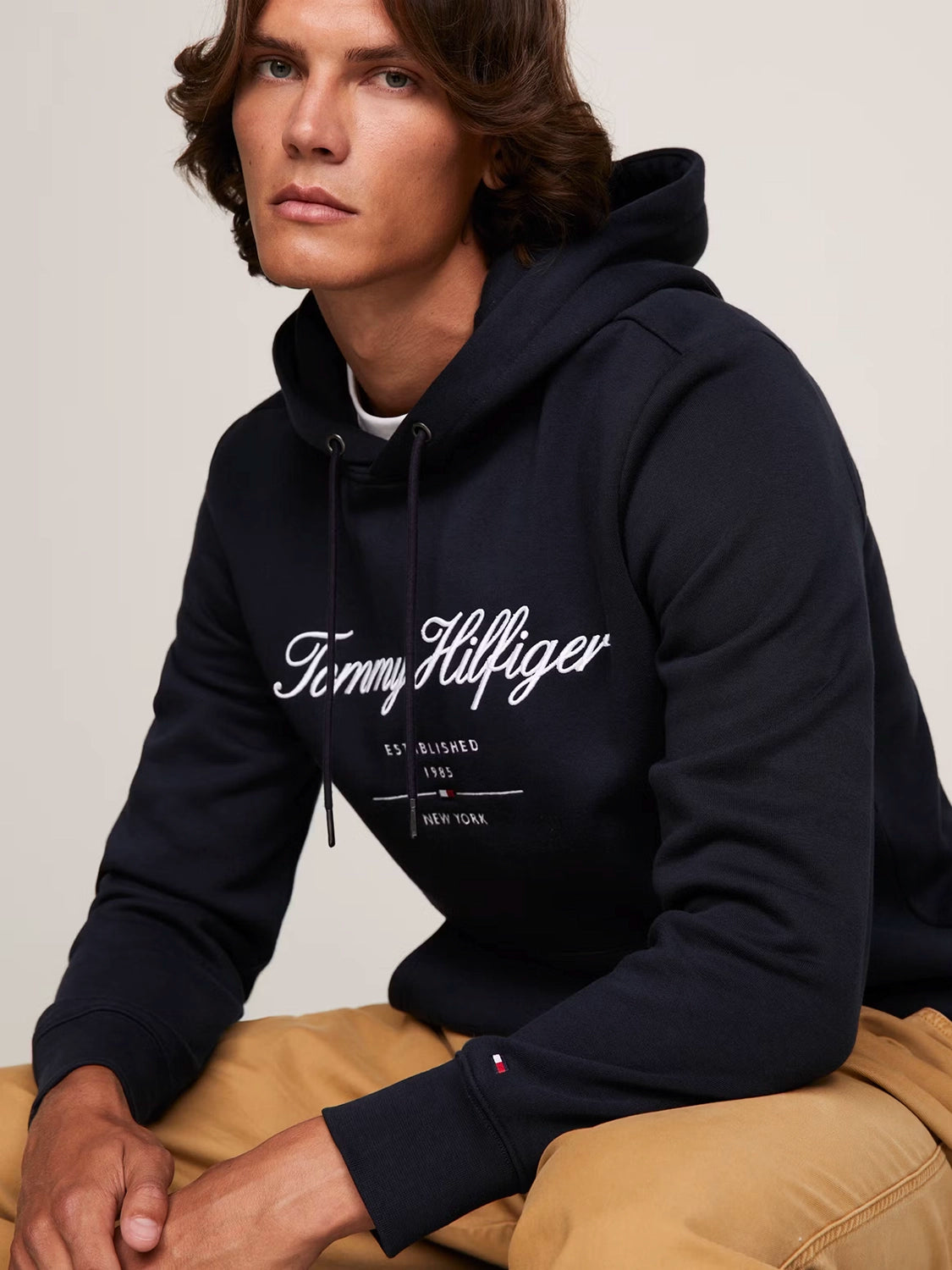TOMMY HILFIGER SCRIPT LOGO HOODY MW0MW33631