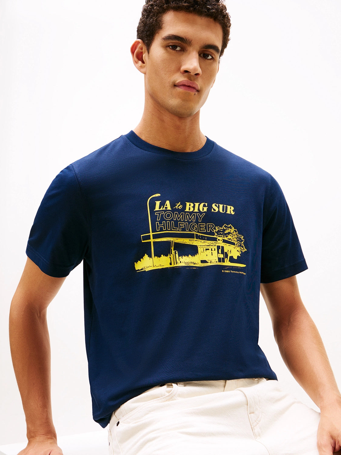 TOMMY HILFIGER PHOTO PRINT GRAPHIC TSHIRT MW0MW41464