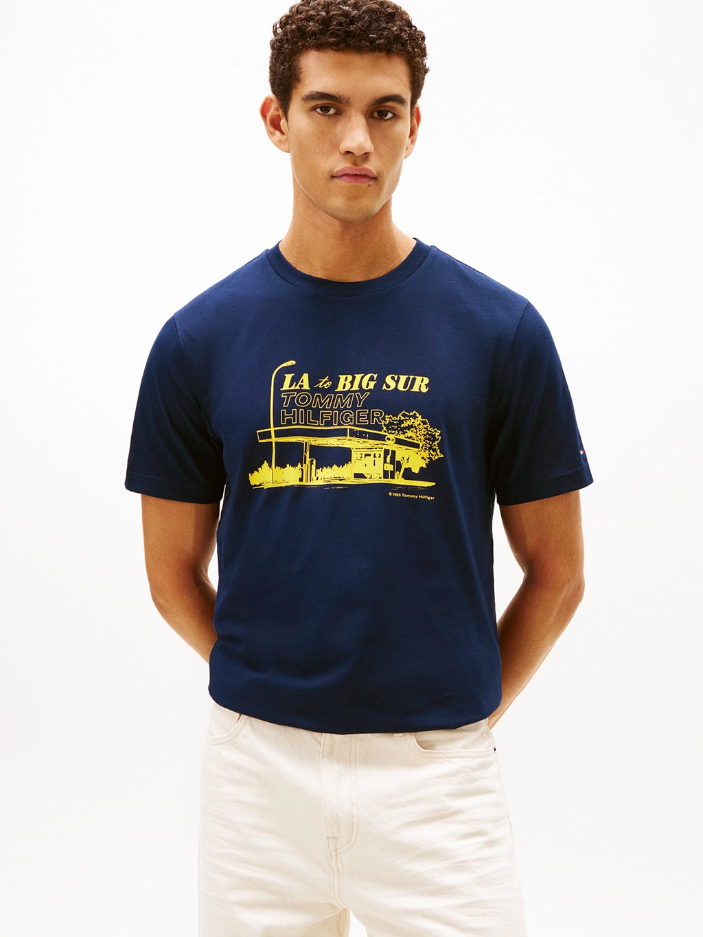 TOMMY HILFIGER PHOTO PRINT GRAPHIC TSHIRT MW0MW41464