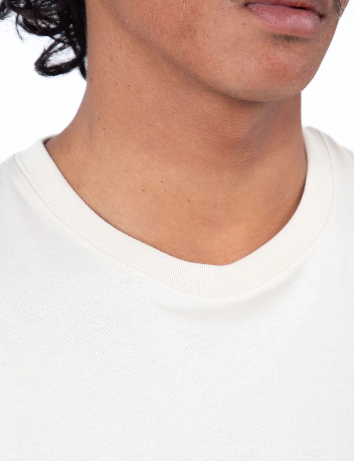 MR SIMPLE CHAPMAN PALM TEE M014409