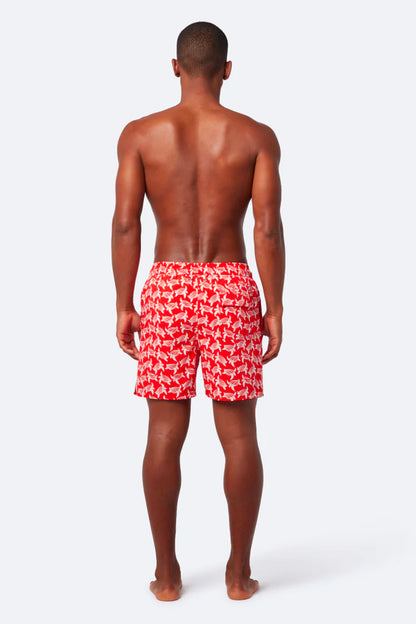 TAT TURTLES SWIM SHORT