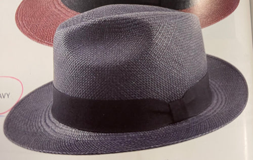 AVENEL TEDDY KING ECUADOR PANAMA